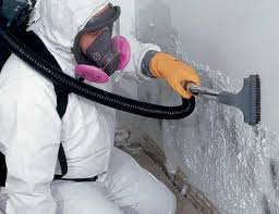 Reliable Pleasureville, KY Mold Removal Solutions